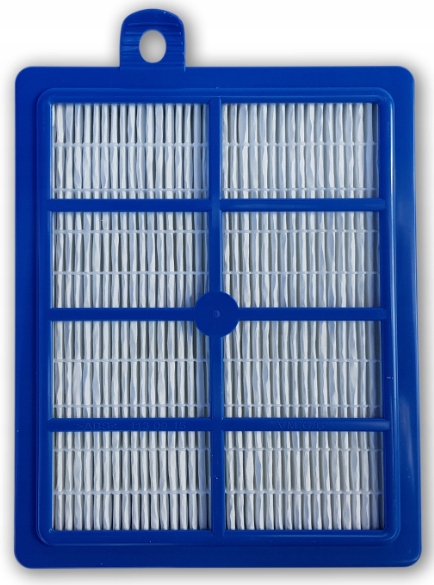 FILTR HEPA Electrolux Allergy Plus S-FILTER EFS1W EAN (GTIN) 7319599019199