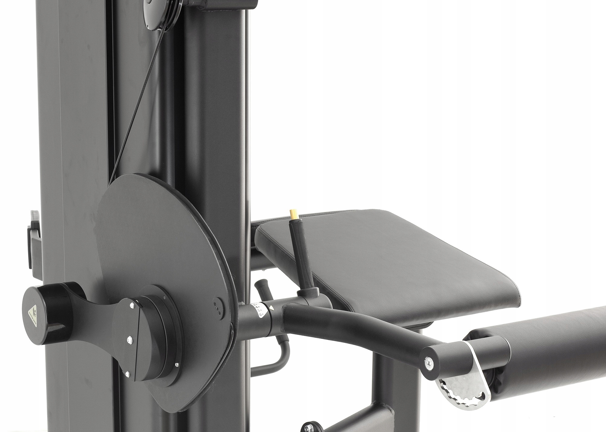 Maszyna mięśnie Czworogłowy uda Bio Motion BMM12 Model BMM12