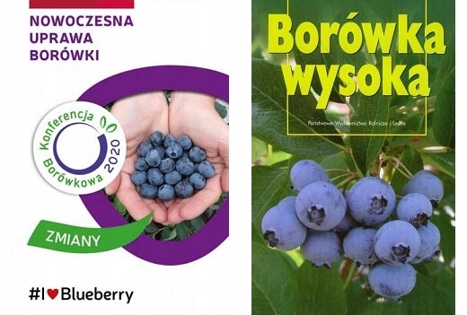 Borówka Wysoka uprawa borówki Konferencja ochrona