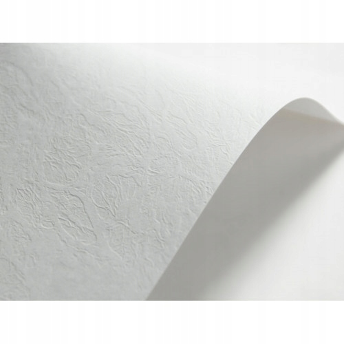 

Papier ozdobny A4 Skóra biały 246g 20 ark.