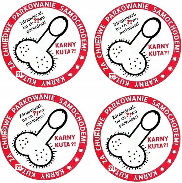 NAKLEJKI NA SAMOCHÓD TUNING WLEPKI KARNY KUTAS Producent Inny