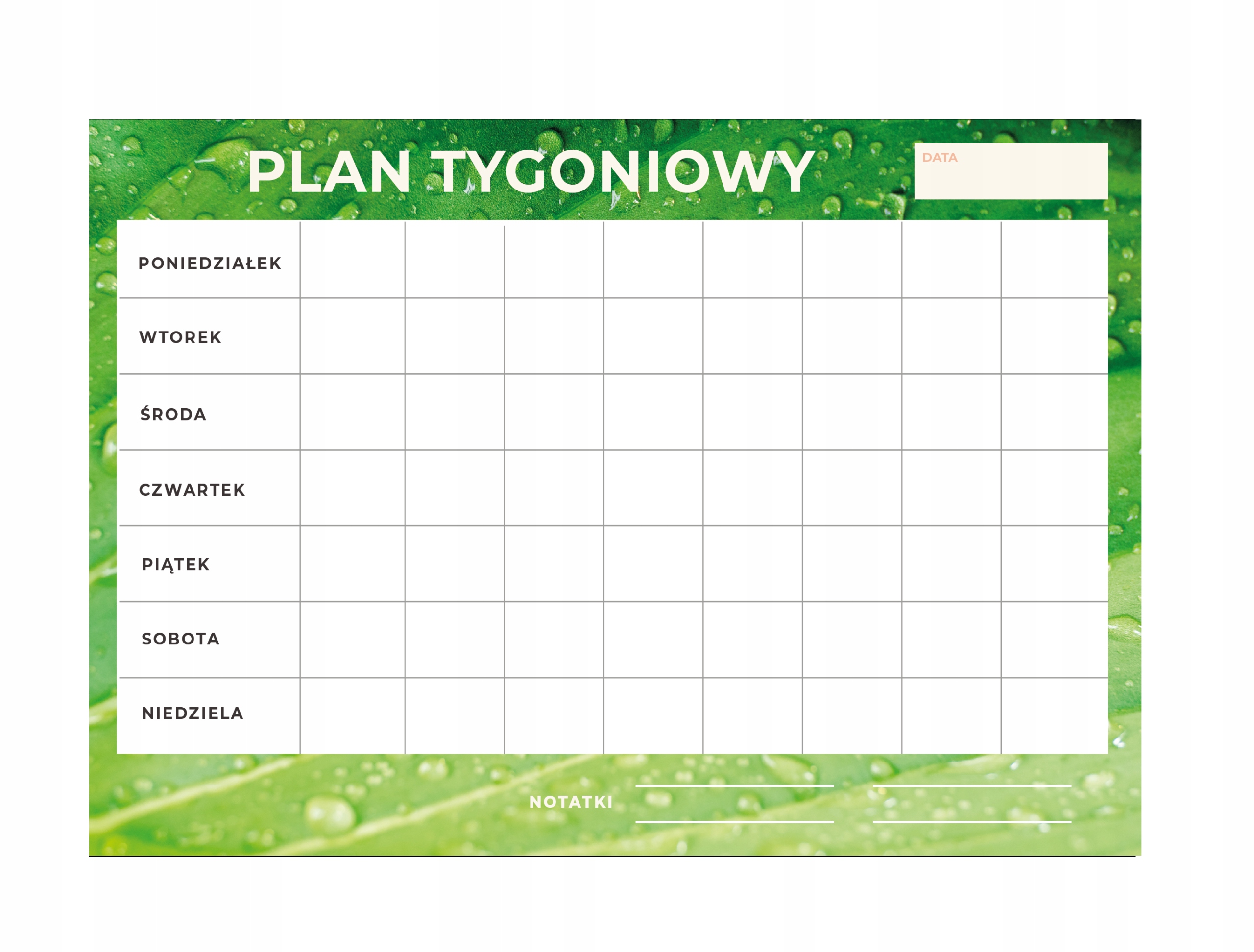 

Magnes na lodówkę Plan Tygodniowy plan zajęć A4