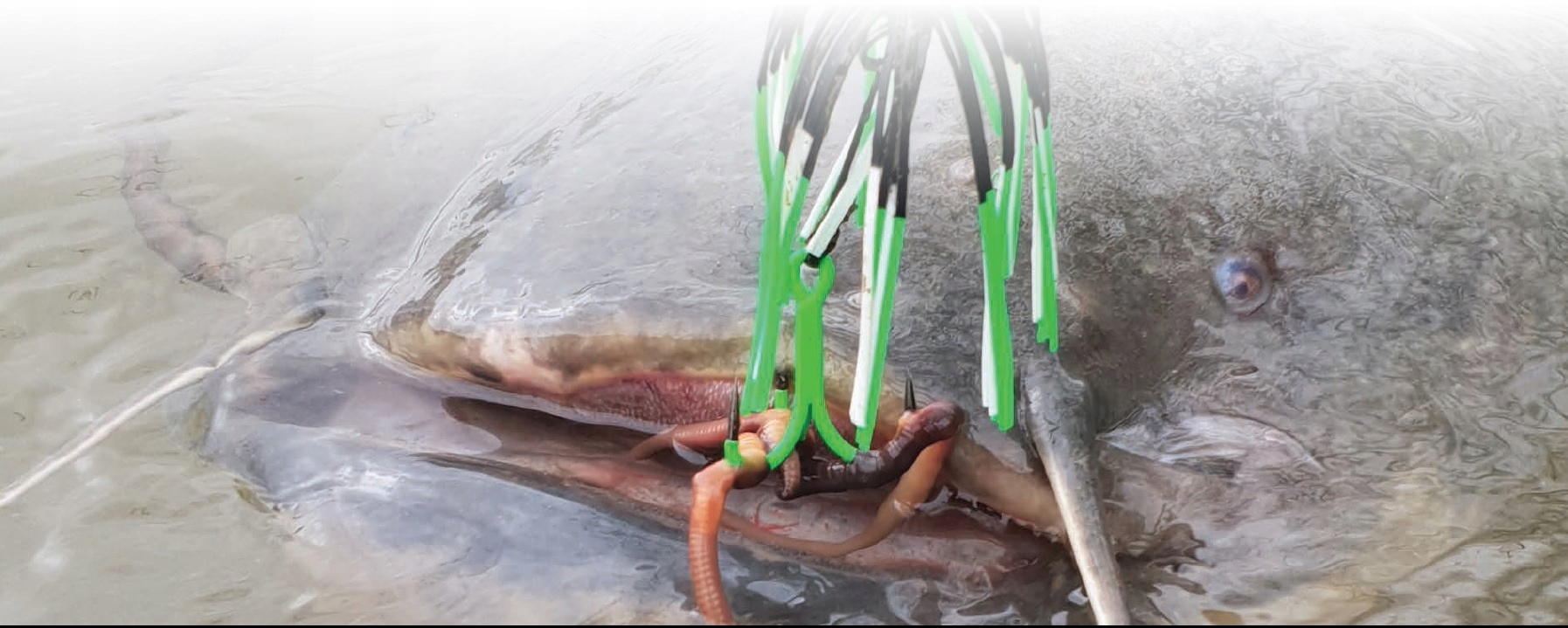 Madcat Clonk Teaser 200gr Black Devil 66347 New Marka Madcat