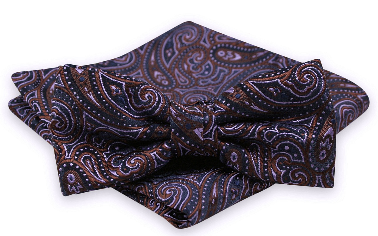 

Fioletowo-Brązowa Męska Mucha z Poszetką -alties