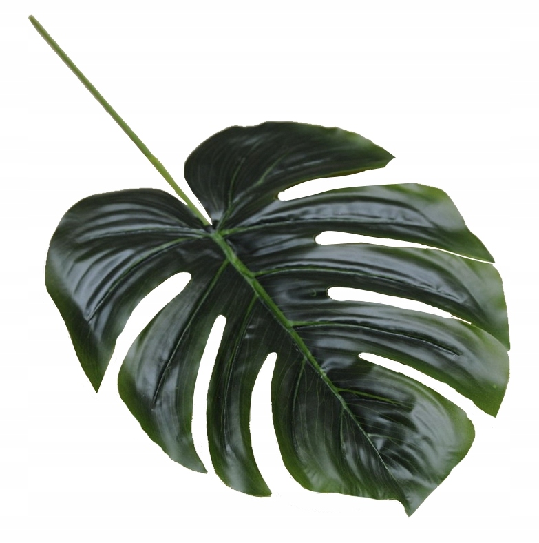 

Liść Monstera Zielony Sztuczny Duży 55cm