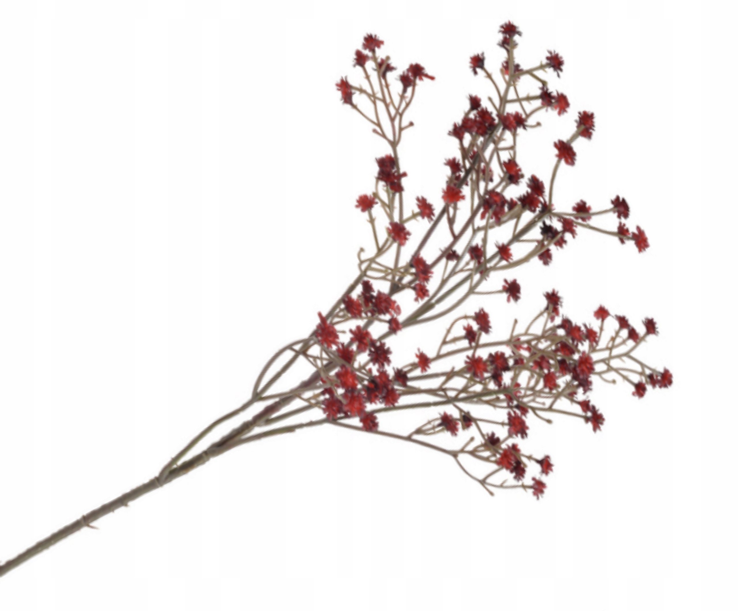 

Gipsówka Ciemno Czerwona Gałązka 67cm