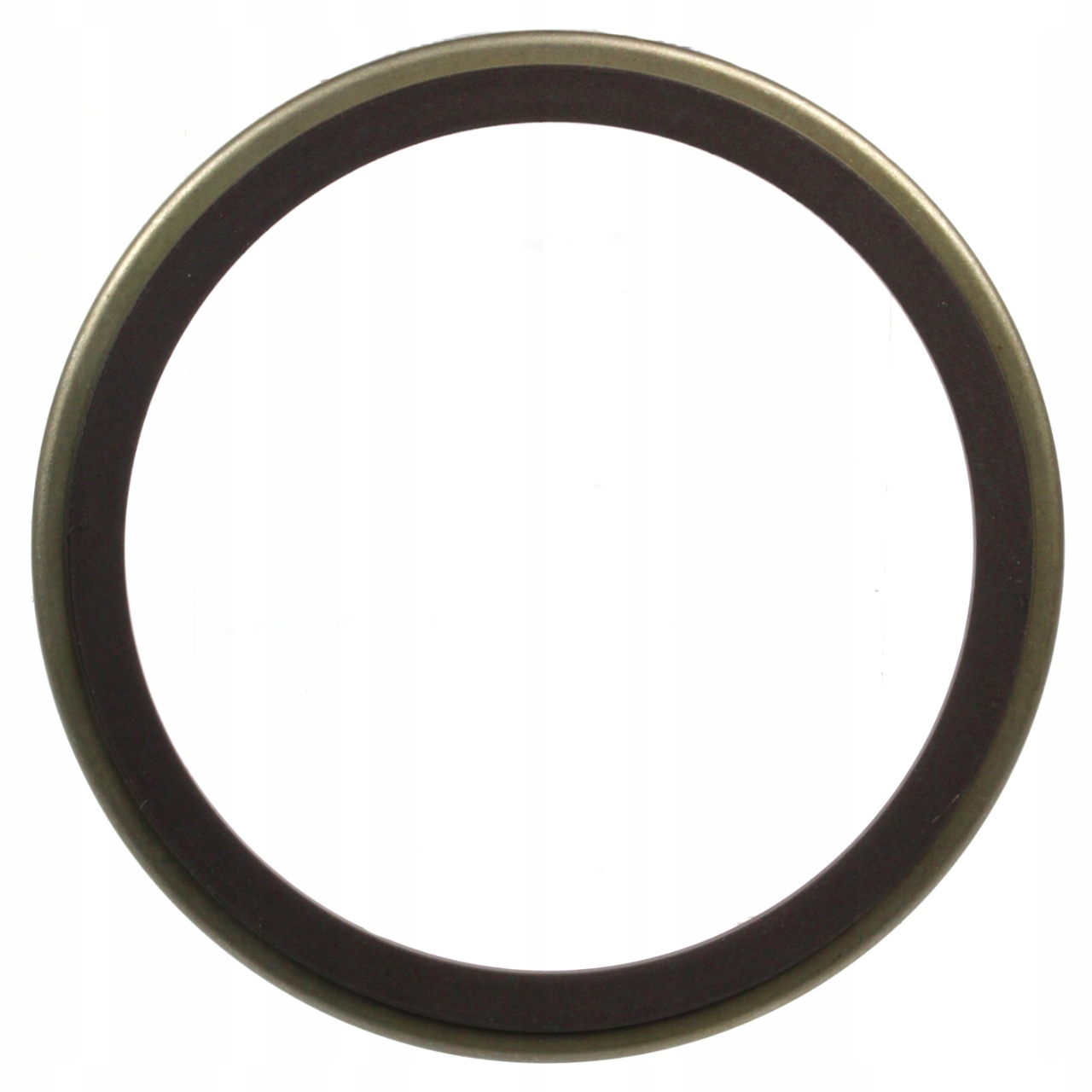 PIERŚCIEŃ ABS TYŁ MAGNETYCZNY do RENAULT VEL SATIS