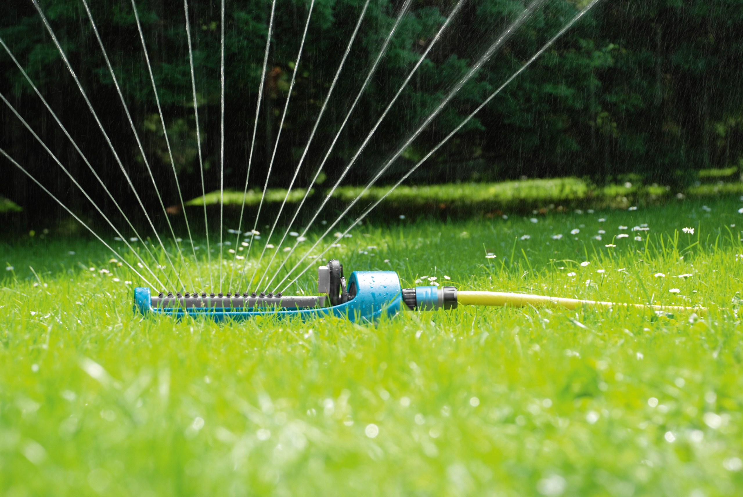 CELLFAST 52-071 Zraszacz oscylacyjny 15 dyszy ECONOMIC IDEAL max.255m2 Marka Cellfast