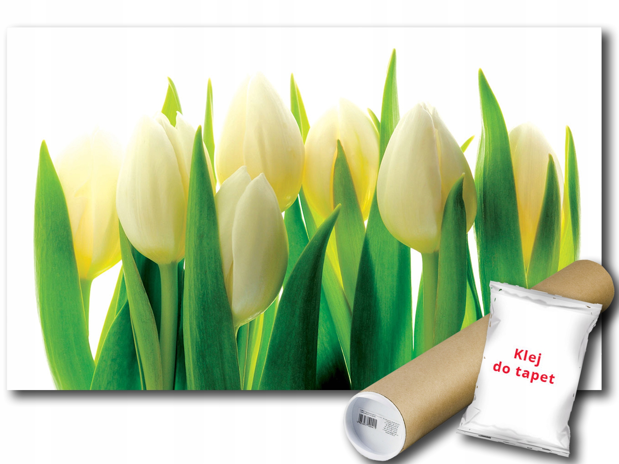 Fototapeta Bílé Tulipány 9C V4 254x184 F894