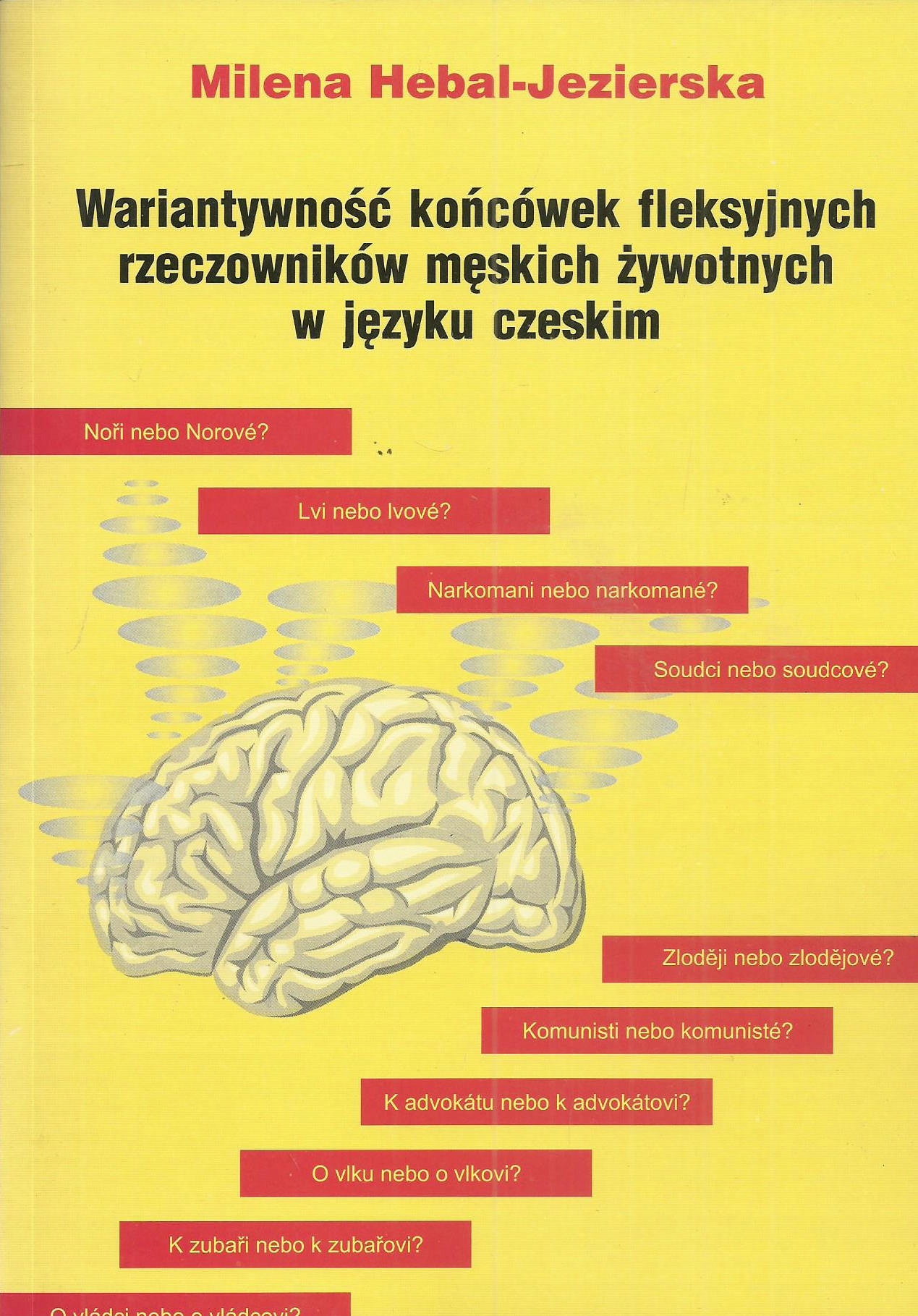 Wariantywność końcówek fleksyjnych rzeczowników