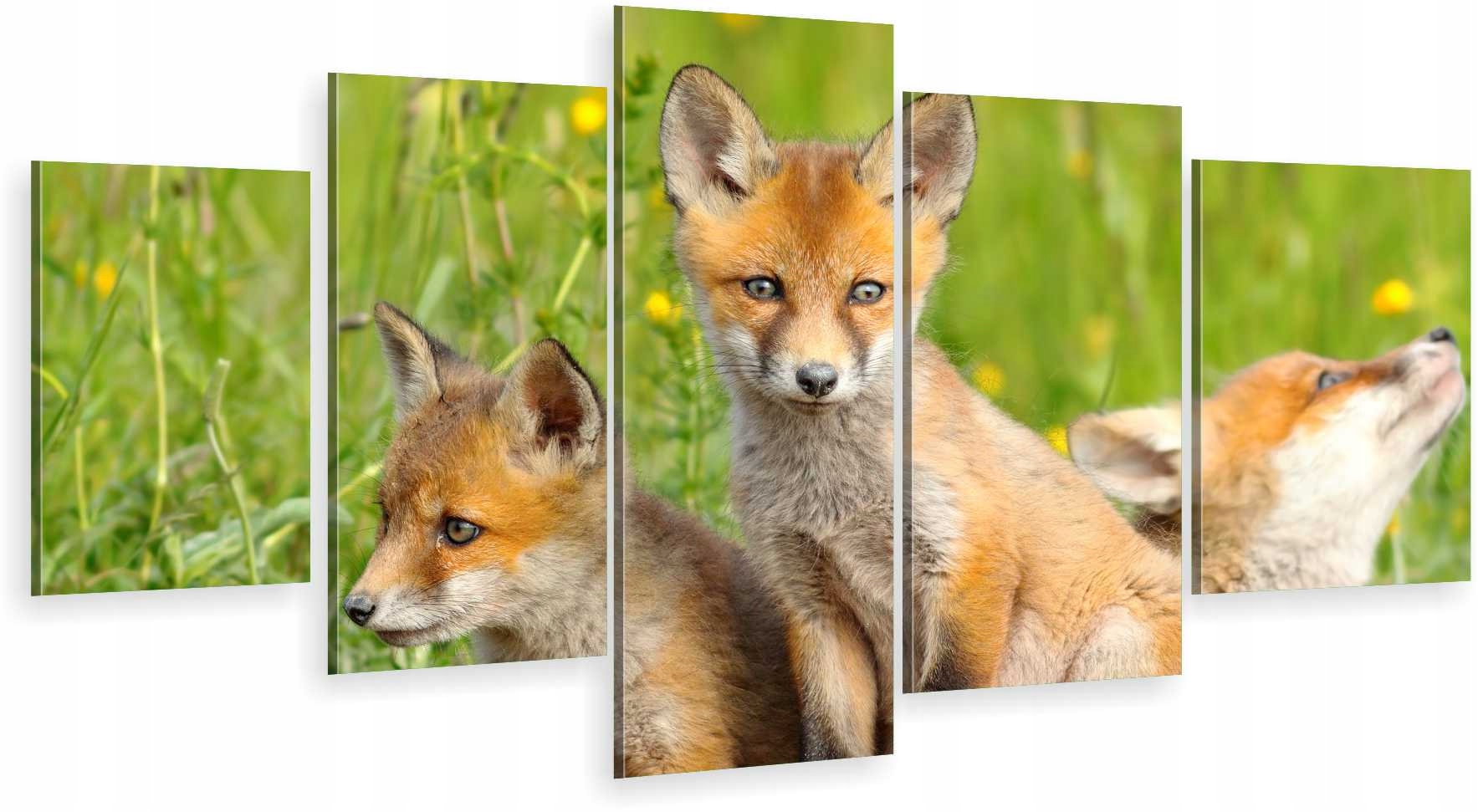 

Tryptyk 5-CZĘŚCI Na Ścianę Lisy Liski 980 Wzorów