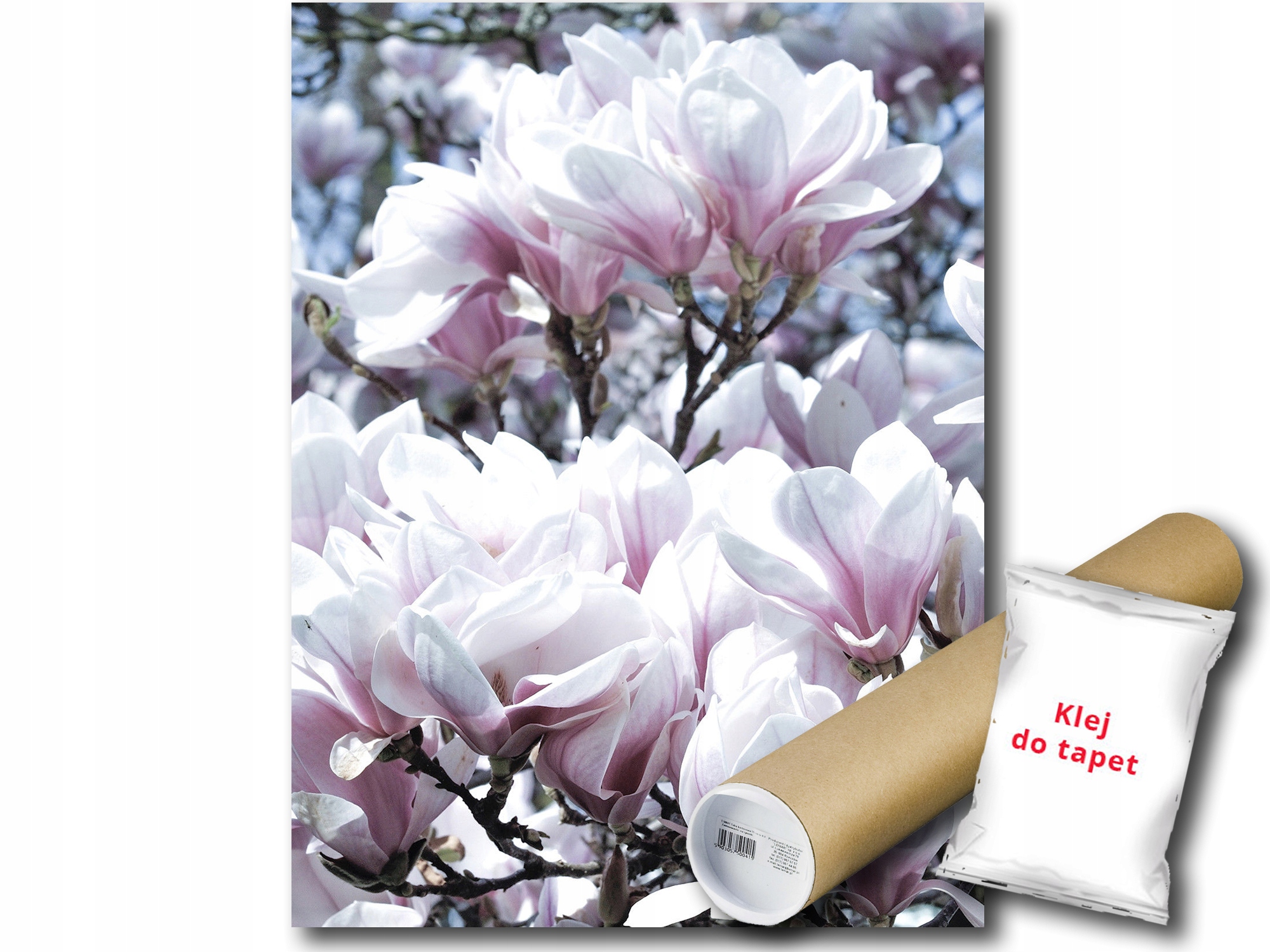 Fototapeta Kvety Magnolie 9E Panxl 206x275 F1618