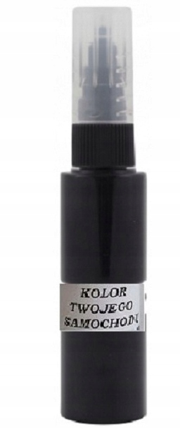 LAKIER ZAPRAWKAW SZTYFCIE Z PĘDZELKIEM I IGŁĄ