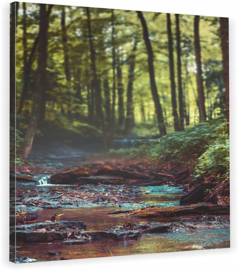 

Obraz Na Płótnie Natura Las 70x70x2cm Hit