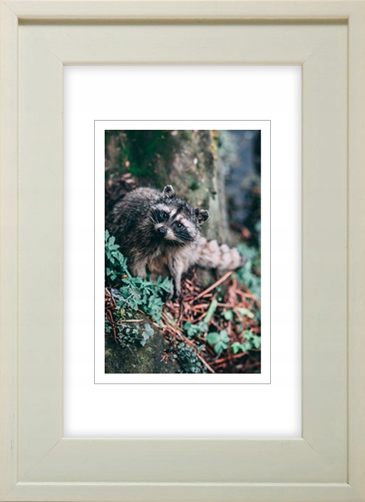 

Ramka Na Zdjęcia Kremowa Rama B6 13x18 CM