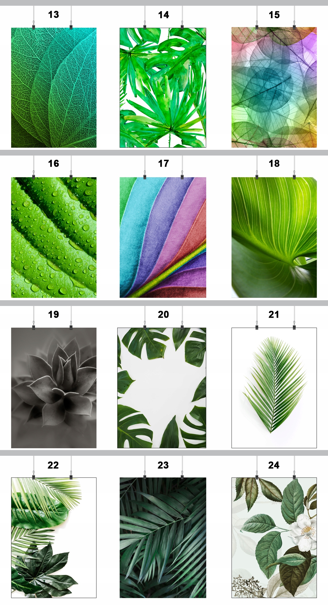 PLAKAT LIŚĆ LIŚCIE ROŚLINY 90x60CM MAT 78 WZORÓW Wysokość produktu 90 cm