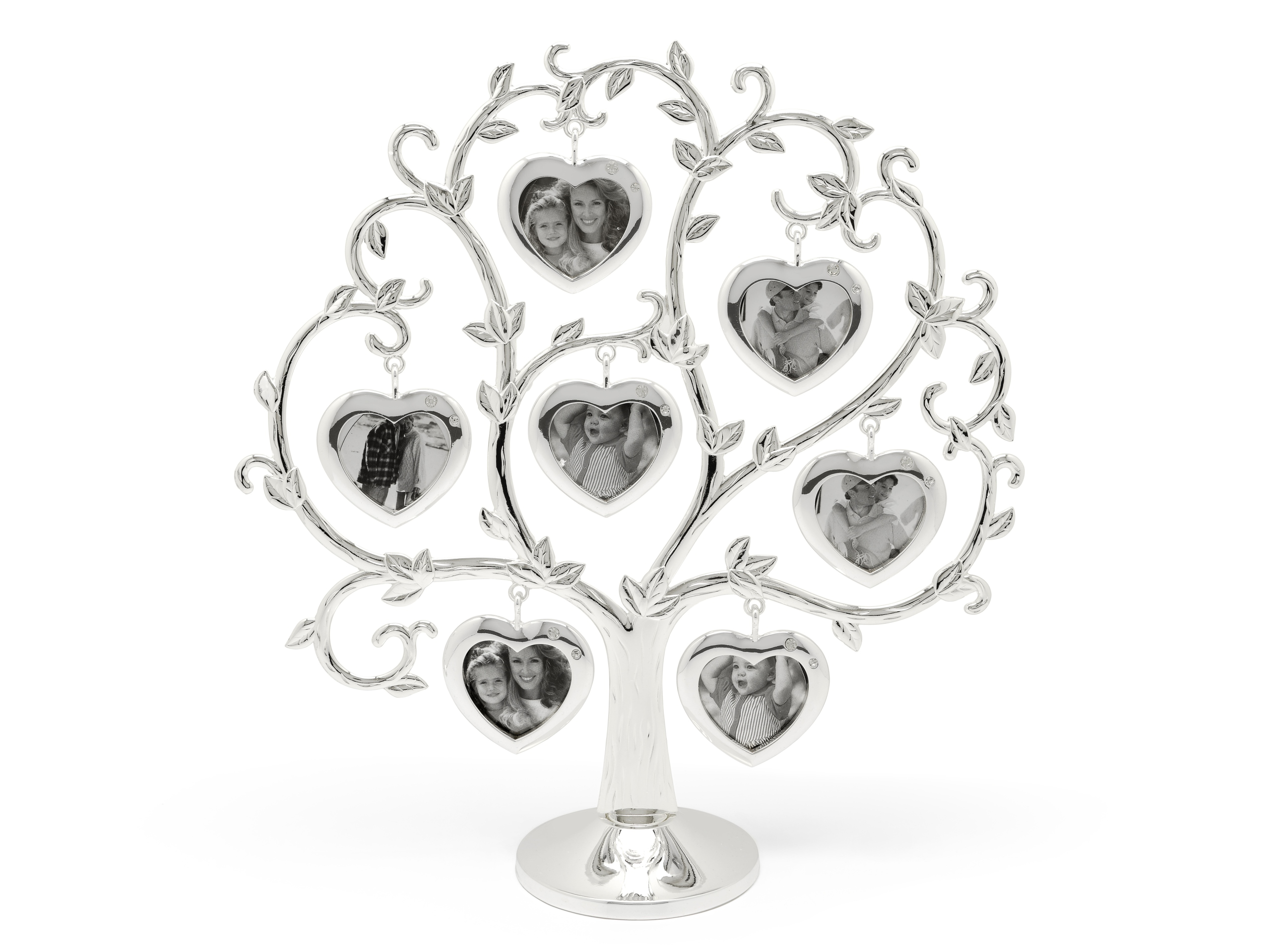 Zilverstad Fotorámik family tree (7 fotiek)