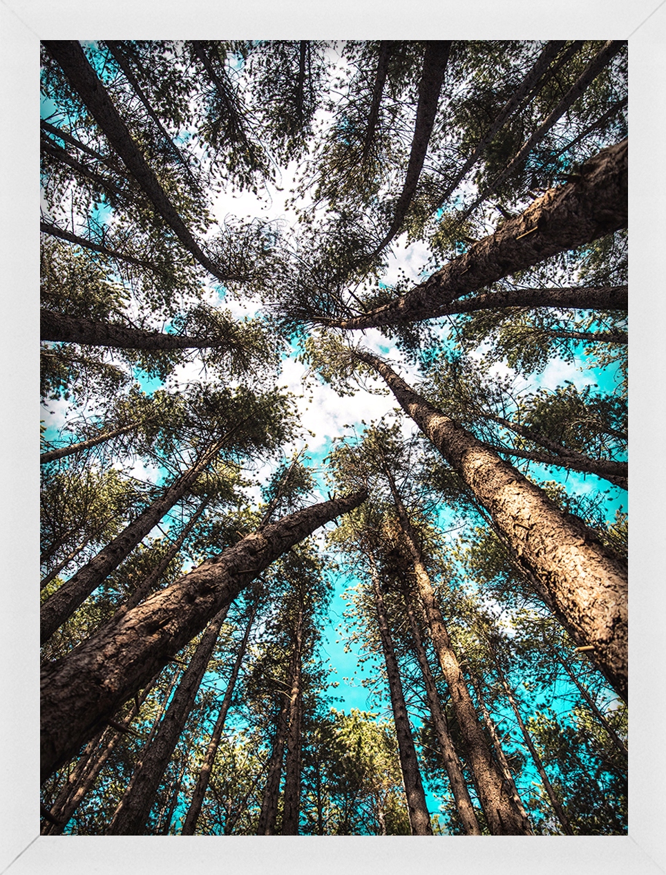 

Rama Na Zdjęcia Biała A3 29,7x42 CM – Foto Ramka