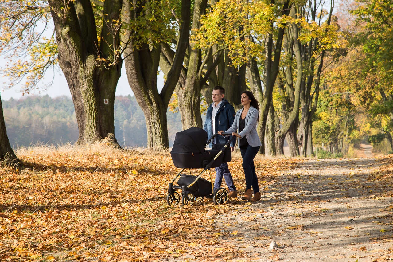 Wózek dziecięcy Baby Merc Mosca 3w1 wzór szary Model Mosca