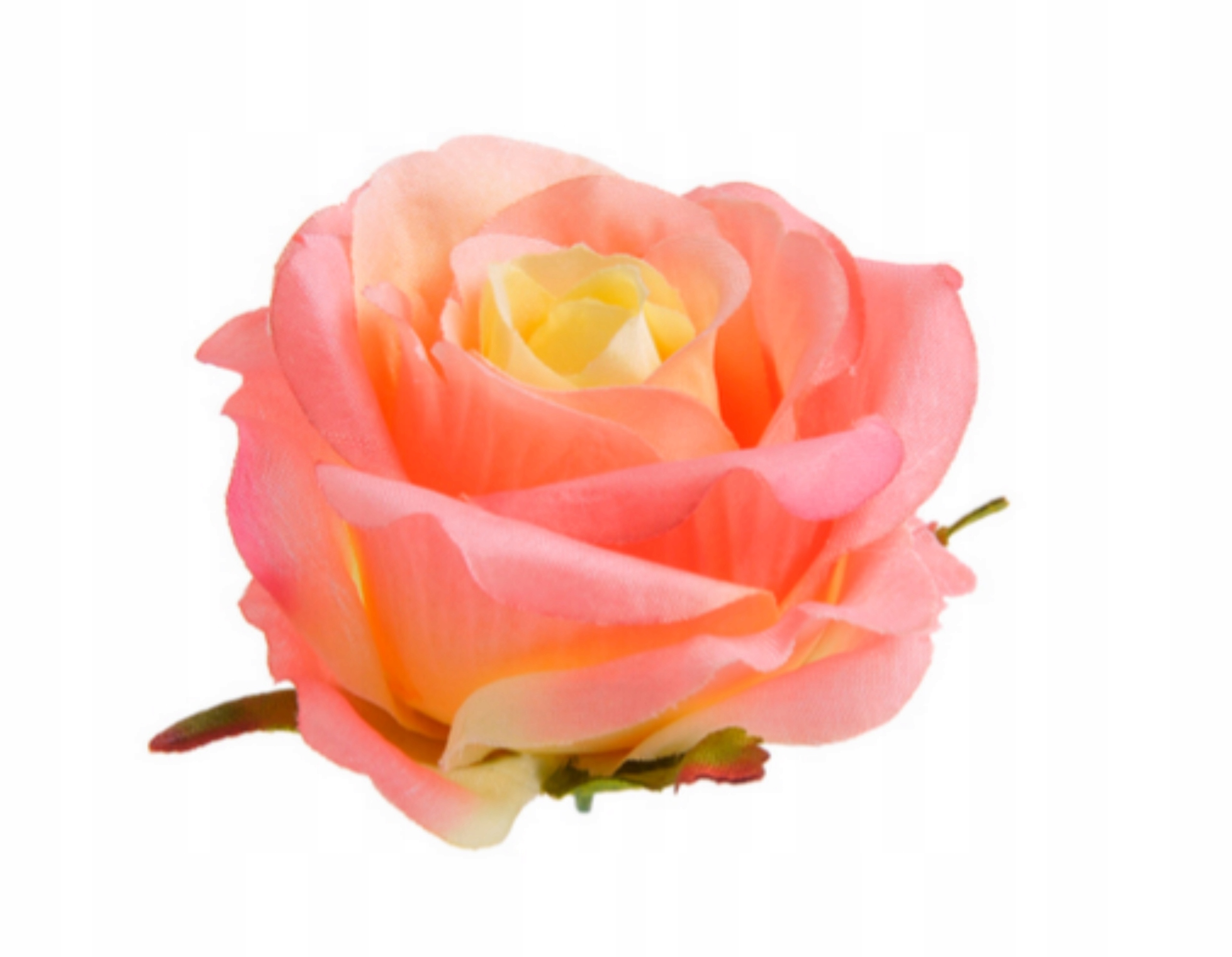 

Róża Satynowa Główka Wyrobowa peach RC-12 6cm