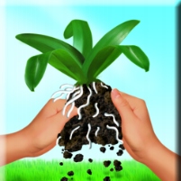 COMPO PODŁOŻE ZIEMIA DO STORCZYKÓW ORCHIDEI 2w1 Rodzaj inna