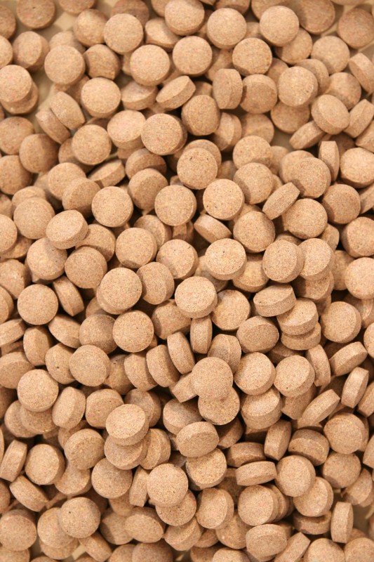 SHRIMPSTABLET tabletki dla krewetek i raków 50g Marka Glopex