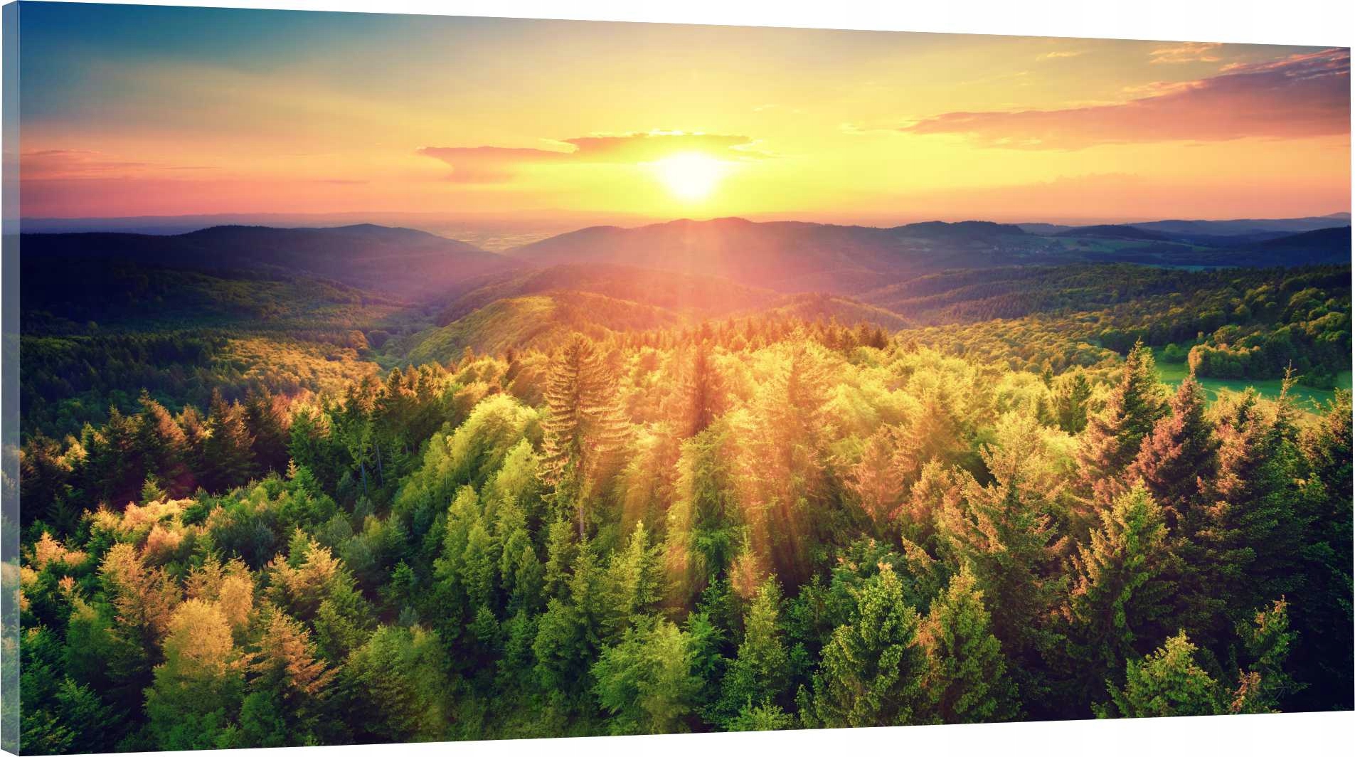 

Obraz panorama do salonu sypialni zachód 120x60