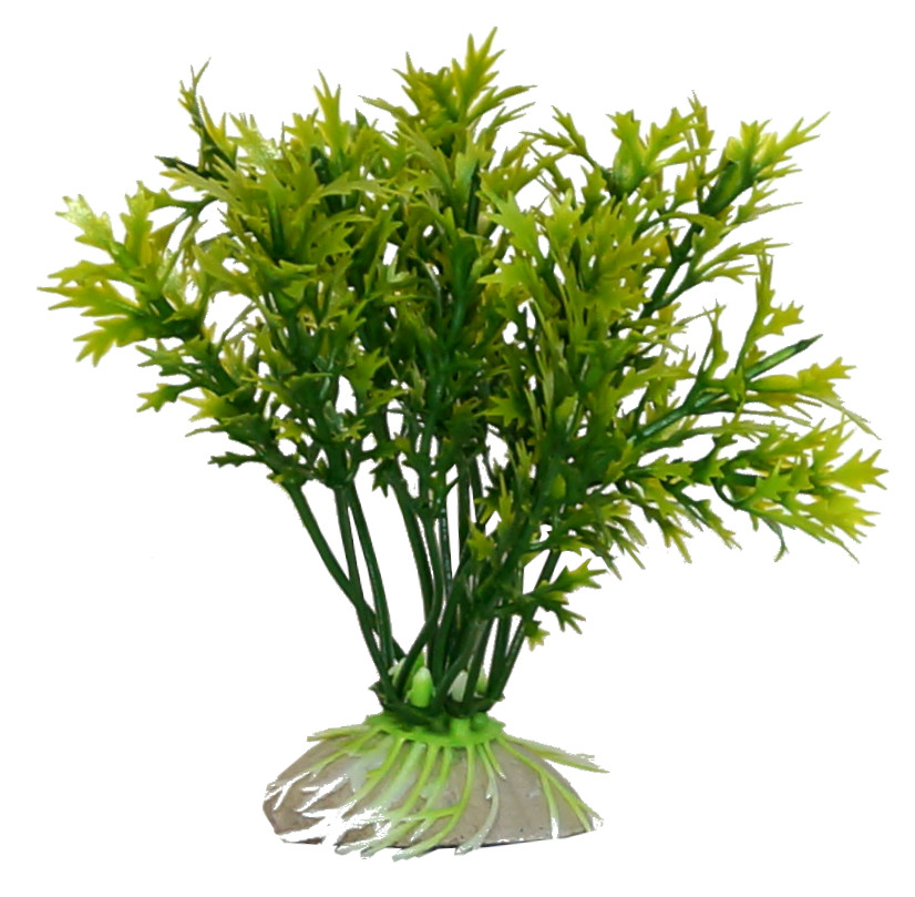 

roślina sztuczna do akwarium 10cm mała 1.30 Bnz