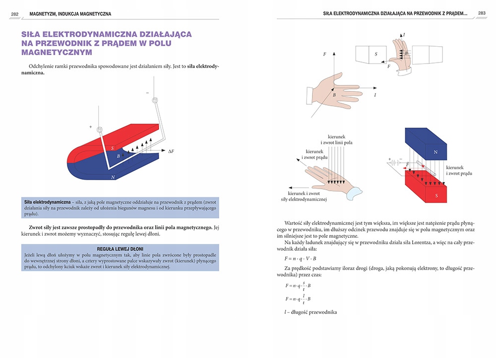 REPETYTORIUM MATURZYSTY FIZYKA GREG 2020 Nośnik książka papierowa