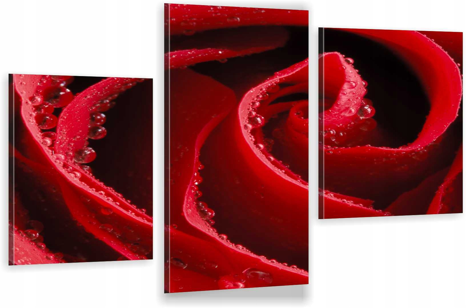 

Tryptyki Obraz Na Ścianę Czerwona Róża 800 Wzorów