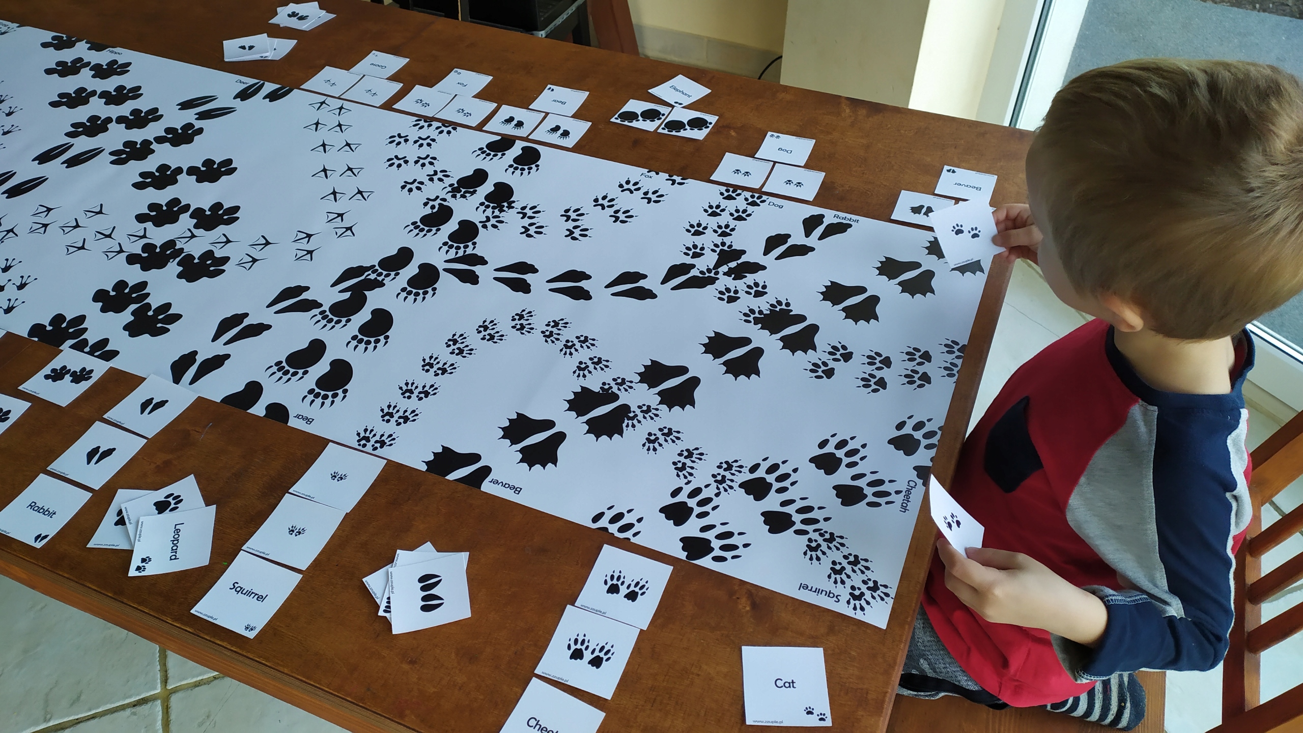 Montessori Footprints mata 50cm*250cm & tafle ISBN 5907741582091