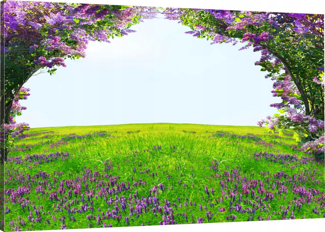

Obraz Na Płótnie Magiczny Ogród 120X80 800 Wzorów