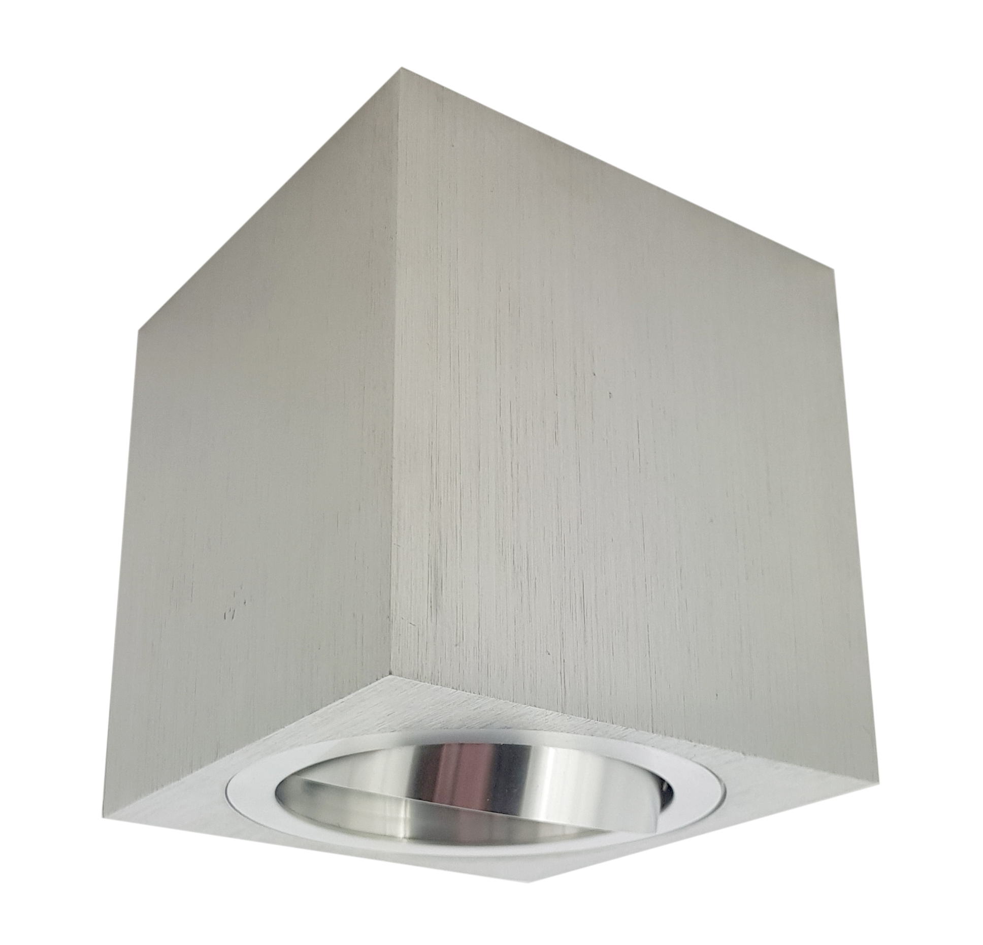 Oprawa NATYNKOWA ruchoma GU10 LED Plafon SREBRNY