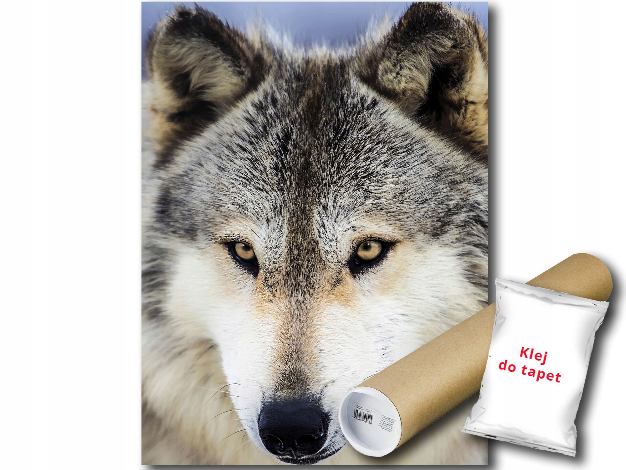 Fototapeta Sněžný Vlk 12A Panxl 206x275 F20308