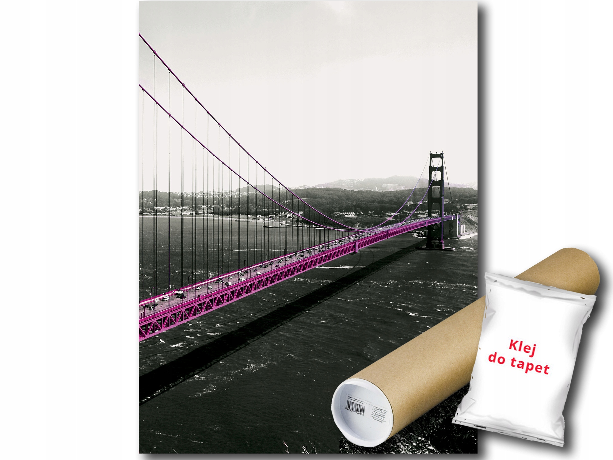 Fototapeta San Francisco 1B Panxl 206x275 F1196