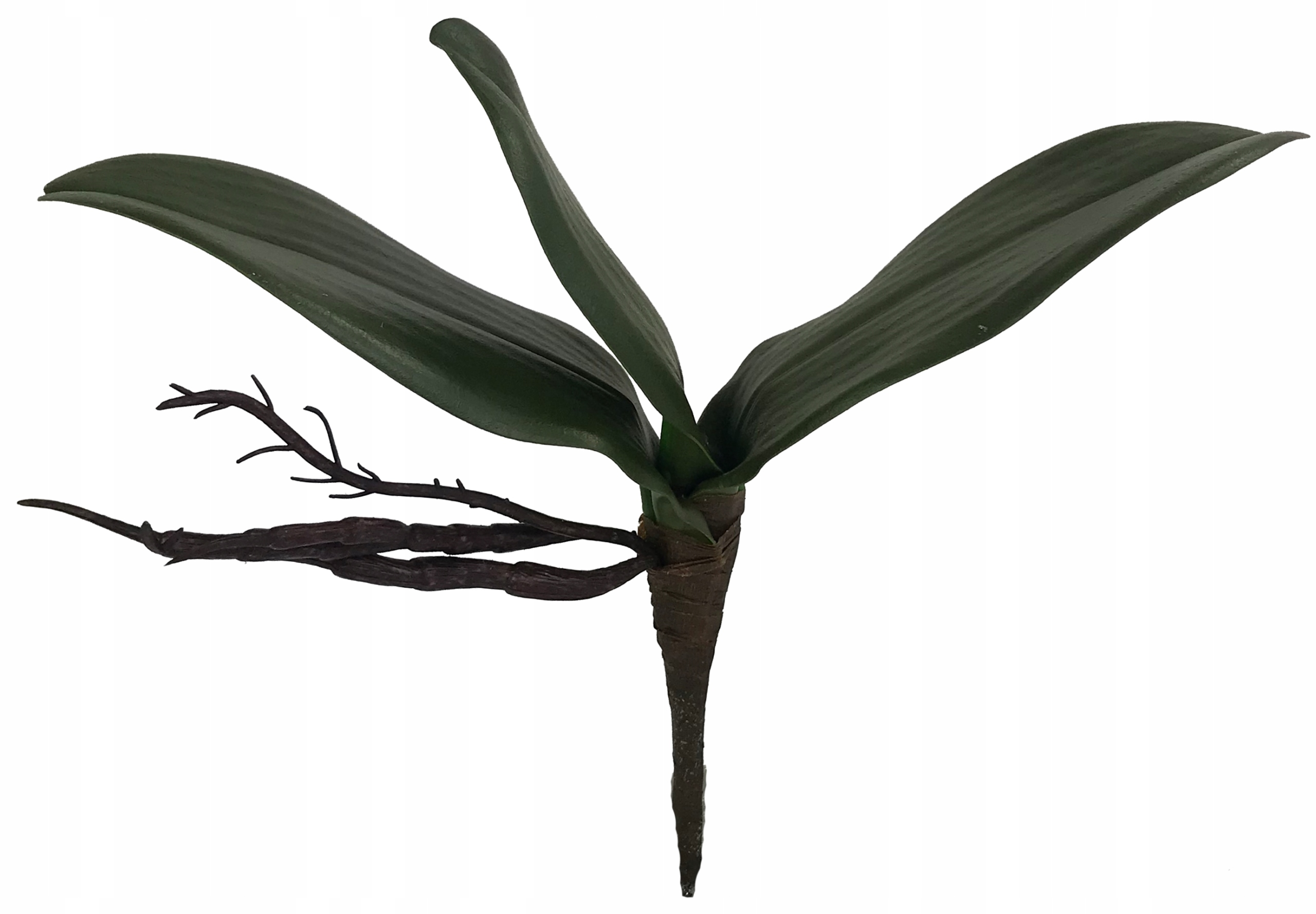 LIŚĆ STORCZYK GUMOWY LIŚCIE STORCZYKA 26,5 CM Marka Madex