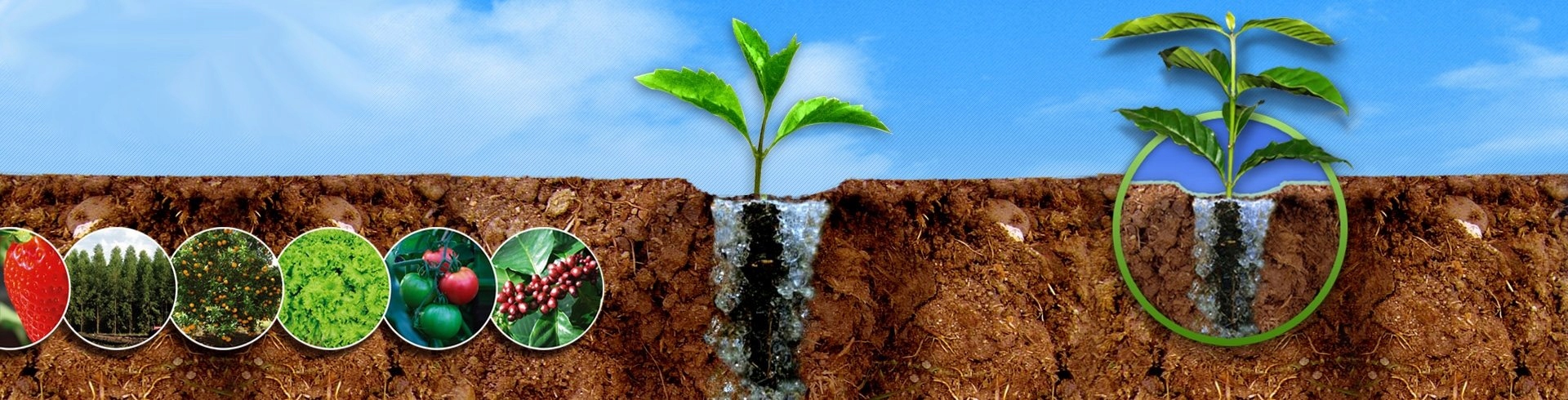 Agrożel, hydrożel do roślin 10Kg PROMOCJA !!! Producent HRT Polska