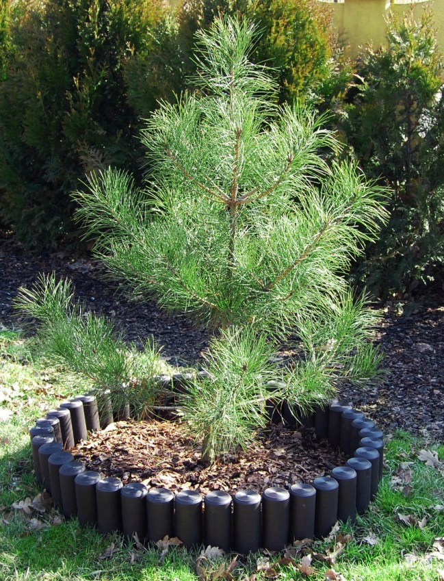 PALISADA OGRODOWA GRUBA 2,2m PLOTEK OBRZEZE GRAFIT Długość (cm) 220 cm