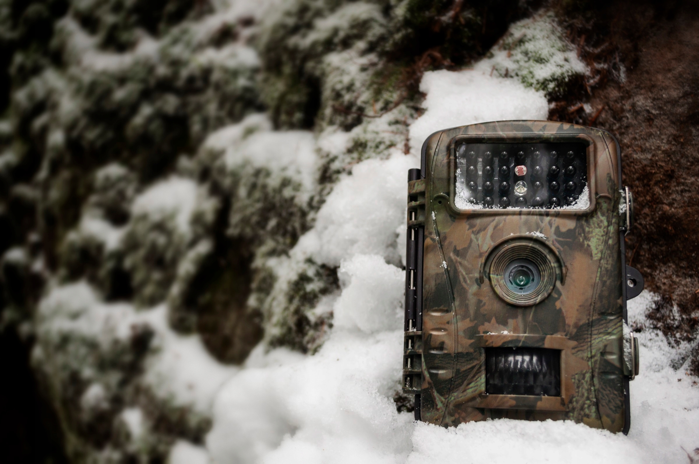 Fotopułapka Kamera Leśna MONITORING na złodzieja RD1003 HD detekcja ruchu Rozdzielczość 2 Mpx