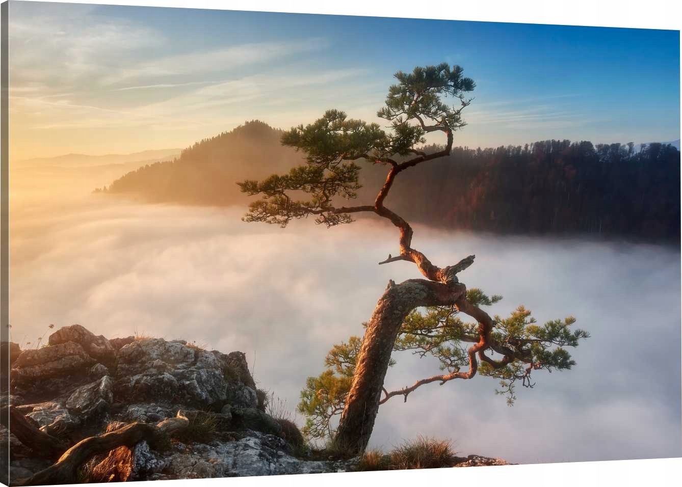 

Obraz Na Płótnie Sokolica Wschód Słońca 90x60