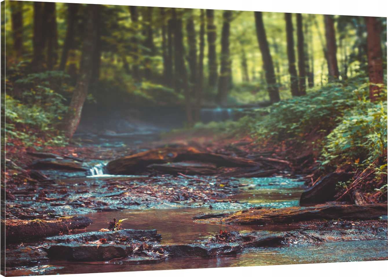 

Obraz Na Płótnie Do Salonu Natura Las 70x50 800 Wz
