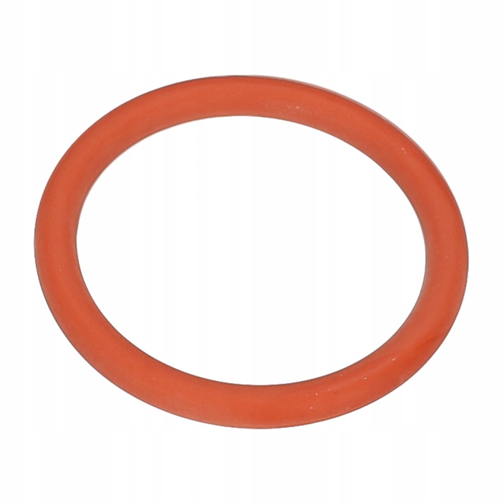 Уплотнительное кольцо saeco. Уплотнительное кольцо saeco. 176090 кольцо уплотнительное. Уплотнительное кольцо бойлера saeco diamante. Уплотнительное кольцо saeco.