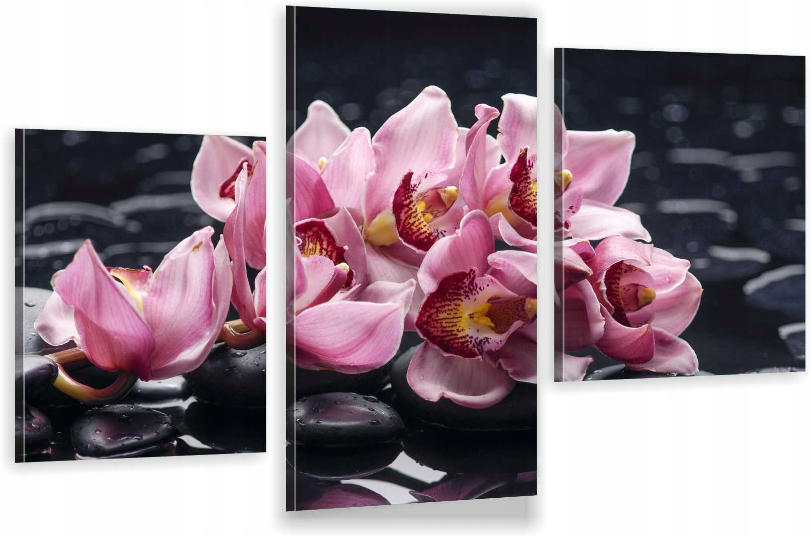 

Tryptyki Obraz Na Ścianę Spa Kwiaty Zen 980 Wzorów