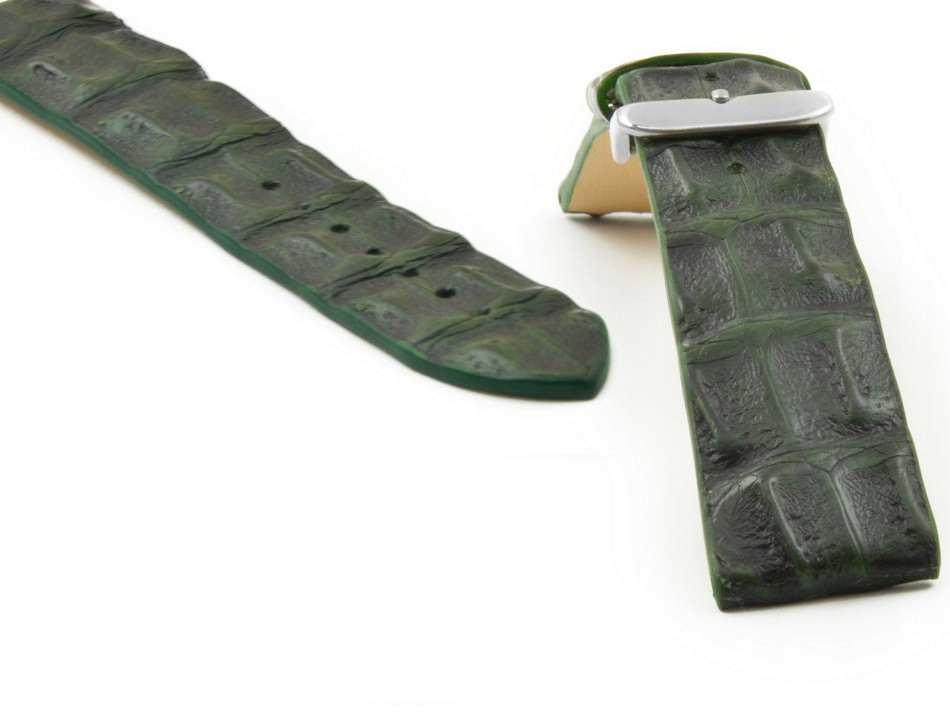 Kůže Aligátora Louisiana Alligator Hr 24 Zelená