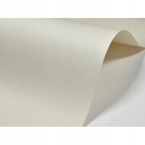 

Papier ozdobny Woodstock Betulla 110g A4 20ark eko