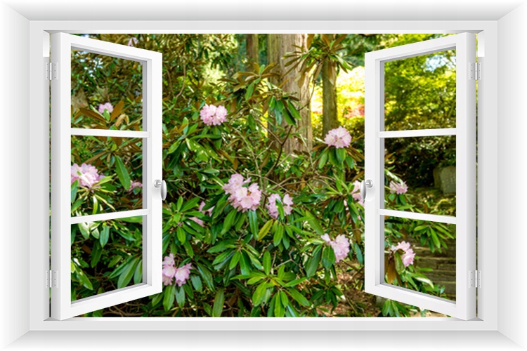 

Fototapeta Okno 3D Ogród Pergola Kwiaty 150x100