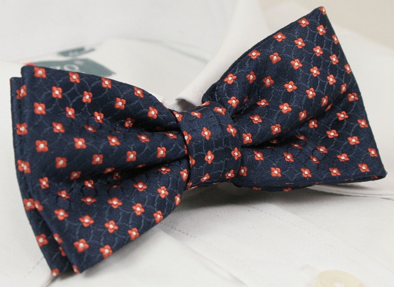 Modna mucha z poszetką - Alties Marka inna