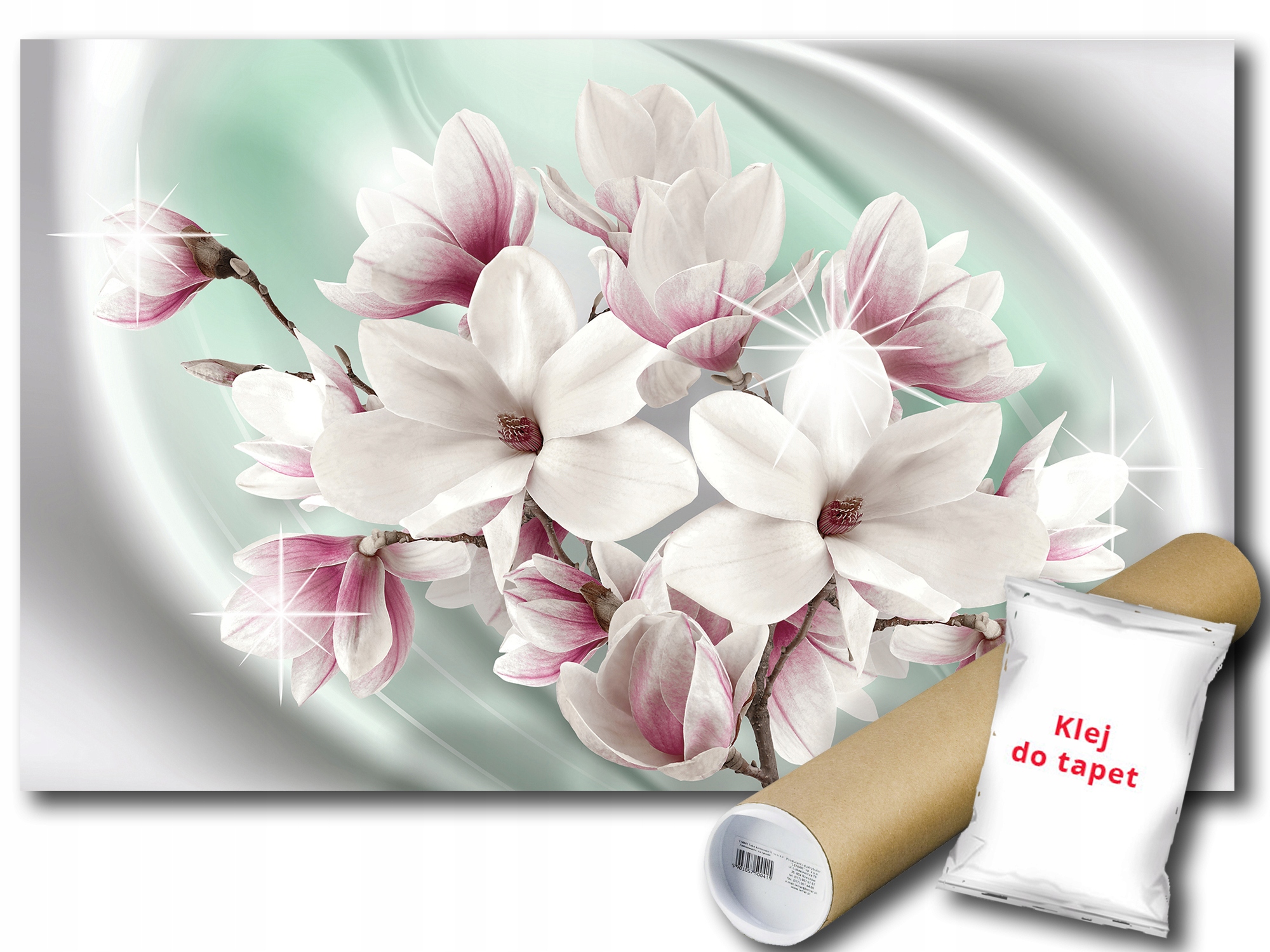 Fototapeta Květy Magnolie 9E F3XL 416x254 F3016