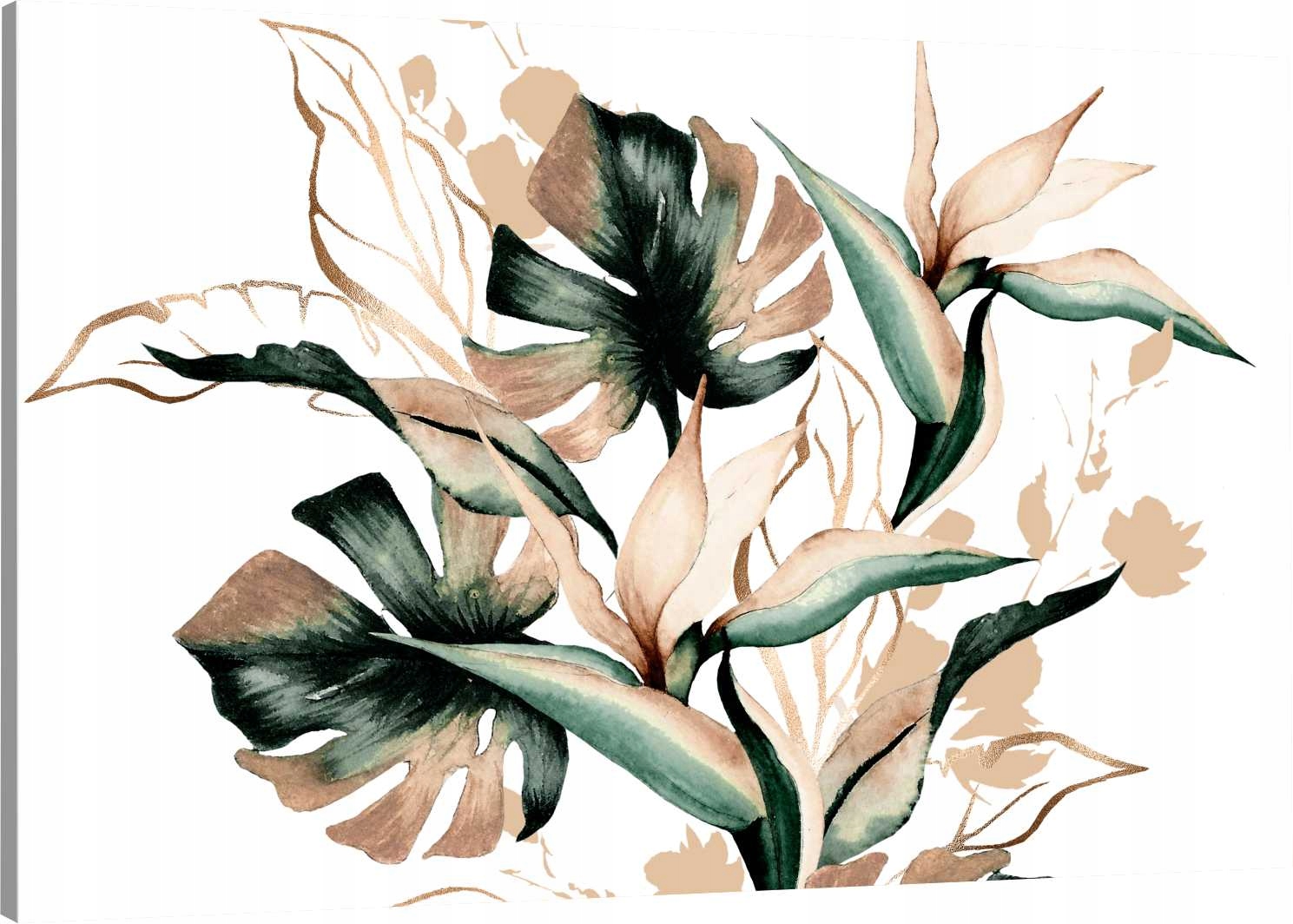 

Obraz Na Płótnie Elegancka Monstera 110x70 980 Wz