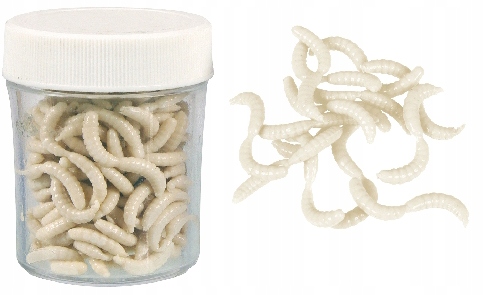 

Konger Maggot Biały Robak Przynęty Sztuczne Słoik